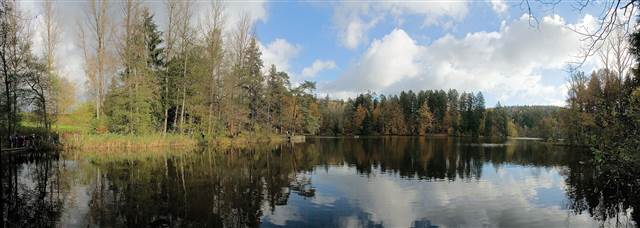 Der Ebnisee spiegelt den umliegenden Wald